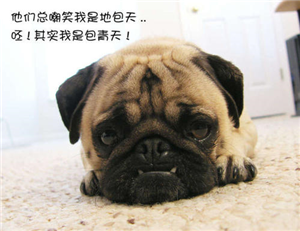 判断咬肌肥大的依据是什么?咬肌切除贵吗?