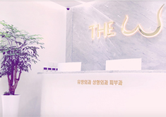 韩国thewclinic整形医院