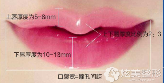 理想的美唇标准图 理想的美唇标准图