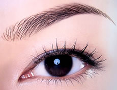 韩式植眉 韩式植眉