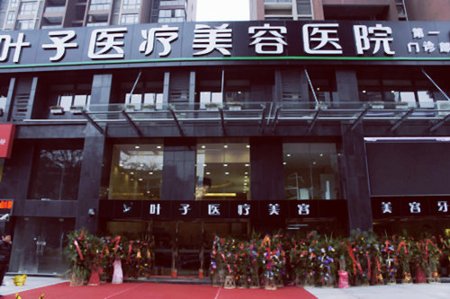 �人Ҷ����������ҽԺ