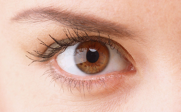 ��ʽ�޺ۿ��۽Ƕ������к���