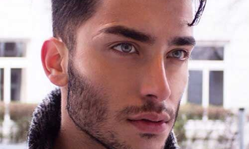 ��֬�������μ۸����(��֬�������μ۸���ٺ���)