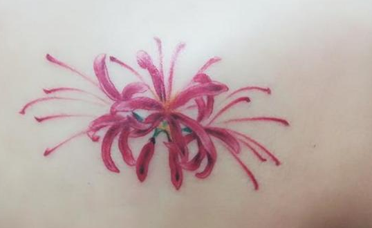 һ����֬��Ŷ���Ǯ(��֬��ǮҪ����)