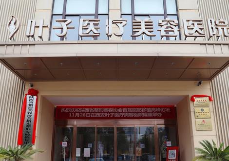 西安整形医院汇总单前十抓:叶子、艺星等四家推荐,口碑擅长全梳理