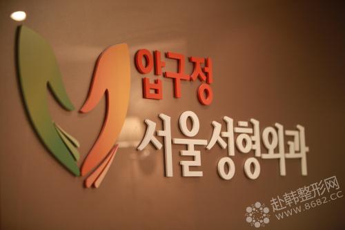 狎鸥亭首尔整形外科医院