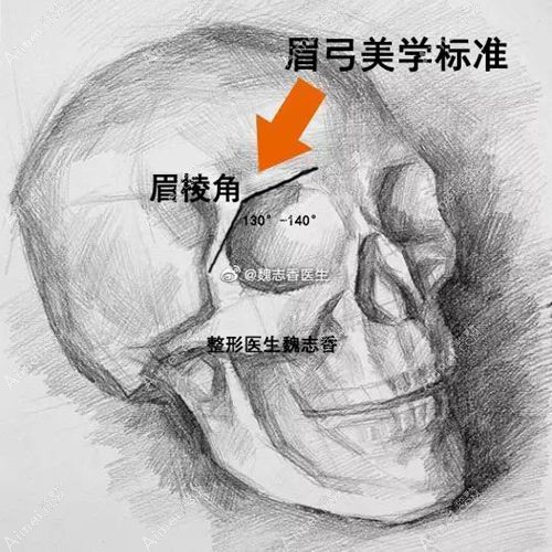 魏志香医生手绘眉弓整形美学素描图.jpg 魏志香医生手绘眉弓整形美学素描图.jpg