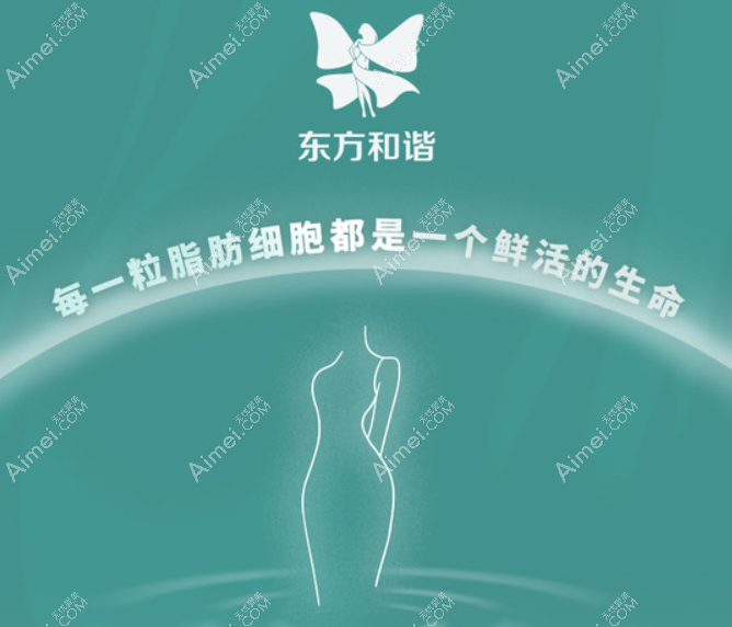 北京东方和谐冯斌医生吸脂价格表 北京东方和谐冯斌医生吸脂价格表