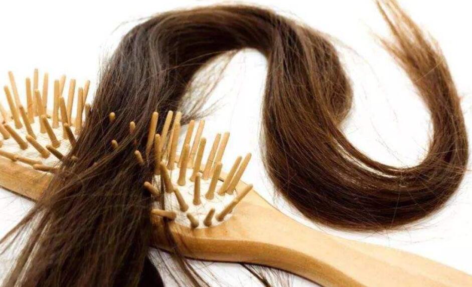 头油多用什么洗发水01..jpg 头油多用什么洗发水01..jpg