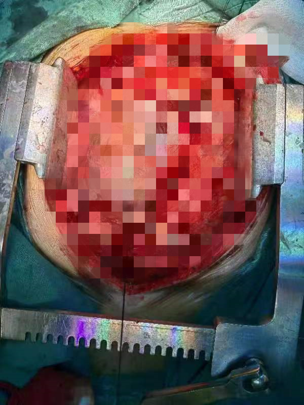 from clipboard from clipboard