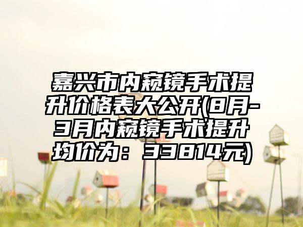 嘉兴市内窥镜手术提升价格表大公开(8月-3月内窥镜手术提升均价为:33814元)