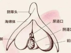 <b>阴道闭锁会有致月经吗？阴道闭锁该怎么治疗呢？</b>