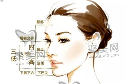 面部轮廓 面部轮廓