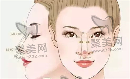 面部轮廓 面部轮廓