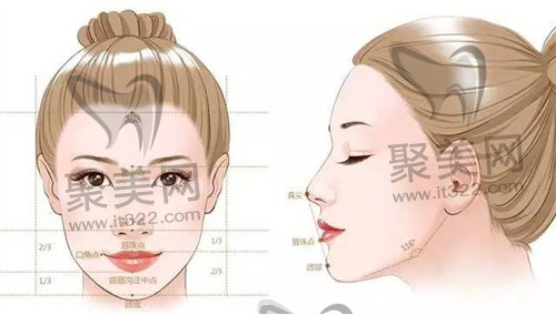 面部轮廓 面部轮廓