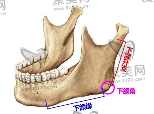 下颌角切除的费用因素有哪些? 下颌角切除的费用因素有哪些?