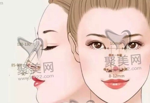 假体隆鼻手术费用一般是多少钱 假体隆鼻手术费用一般是多少钱