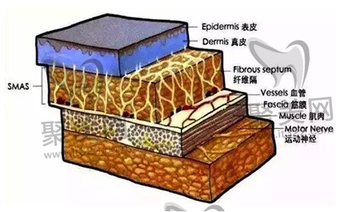 腰腹吸脂 腰腹吸脂