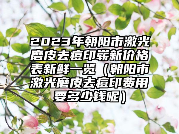 2023年朝阳市激光磨皮去痘印崭新价格表新鲜一览(朝阳市激光磨皮去痘印费用要多少钱呢)