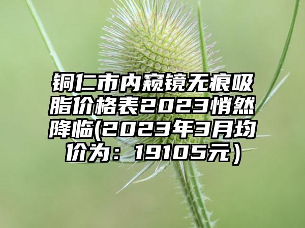 铜仁市内窥镜无痕吸脂价格表2023悄然降临(2023年3月均价为:19105元)