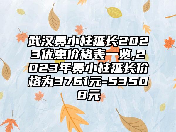 武汉鼻小柱延长2023优惠价格表一览,2023年鼻小柱延长价格为3761元-53508元