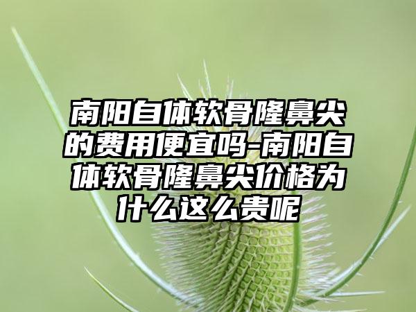 南阳自体软骨隆鼻尖的费用便宜吗-南阳自体软骨隆鼻尖价格为什么这么贵呢