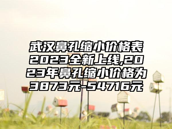 武汉鼻孔缩小价格表2023全新上线,2023年鼻孔缩小价格为3873元-54716元