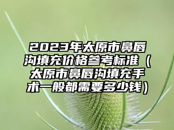 2023年太原市鼻唇沟填充价格参考标准（太原市鼻唇沟填充手术一般都需要多少钱）