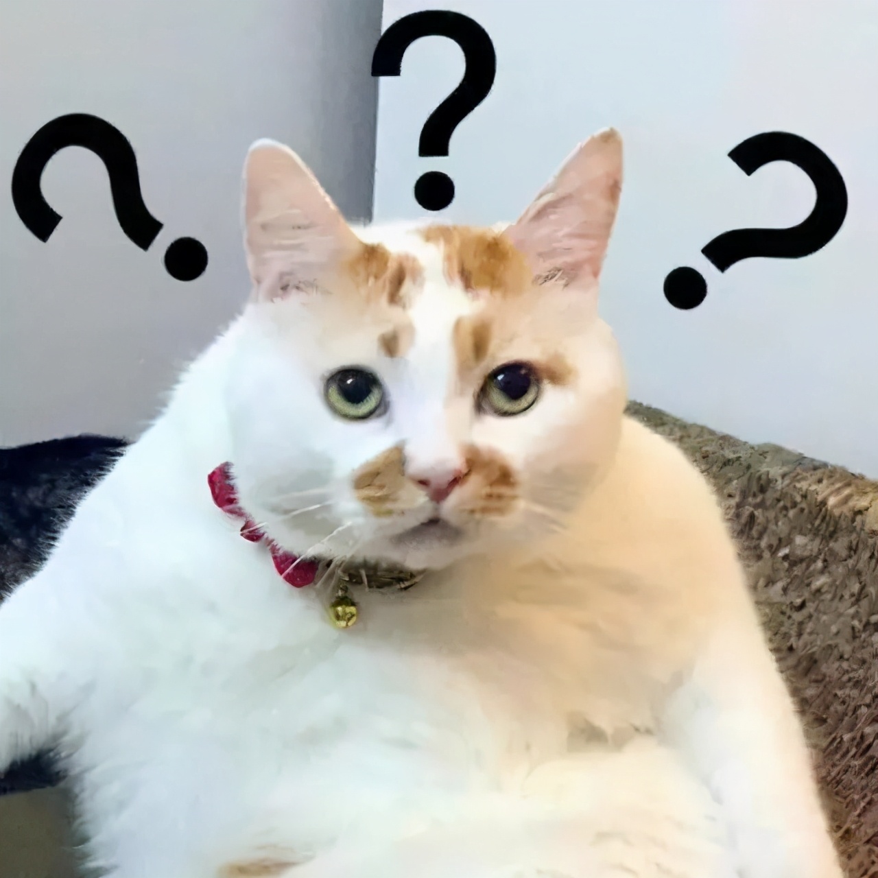 <strong>为什么割<a href='http://www.meirong315.com/yabzx/' target='_blank'><u>双眼皮</u></a>还得配套开个眼角吗?</strong>