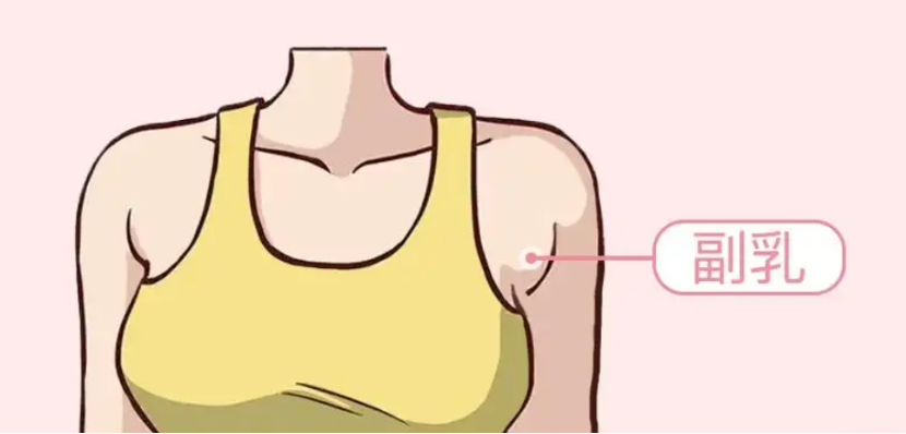 1658797816102217.jpeg 64a956f19a377134478e238d6aee9a93.jpeg