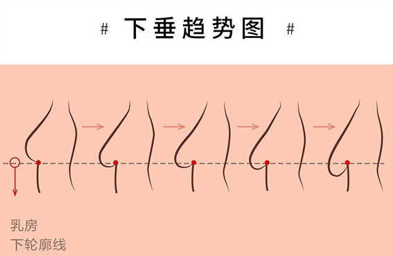 1660009533159738.jpeg e9e83f523bc3fe2a80a94188c1ca6b15.jpeg