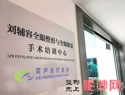 成都莱尹医疗美容整形医院(成都刘辅容眼整形与修复医学研究院)