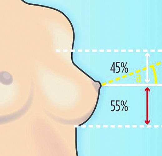 完美乳房的标准 完美乳房的标准