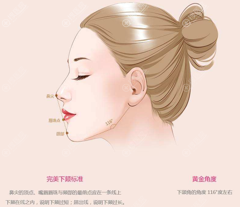 下巴的审美标准 下巴的审美标准