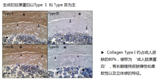 葡聚糖隆鼻有没有副作用? 葡聚糖隆鼻有没有副作用?