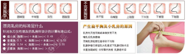 漂亮胸型的标准 漂亮胸型的标准