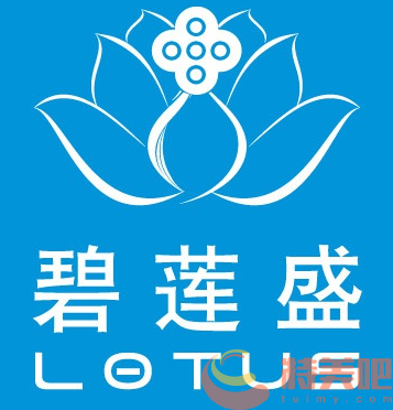 碧莲盛植发 碧莲盛植发