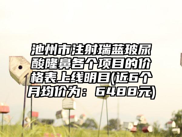 池州市注射瑞蓝玻尿酸隆鼻各个项目的价格表上线明目(近6个月均价为:6488元)