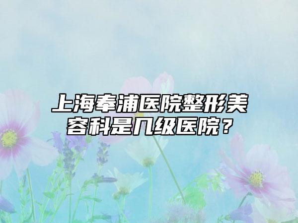 上海奉浦医院整形美容科是几级医院?