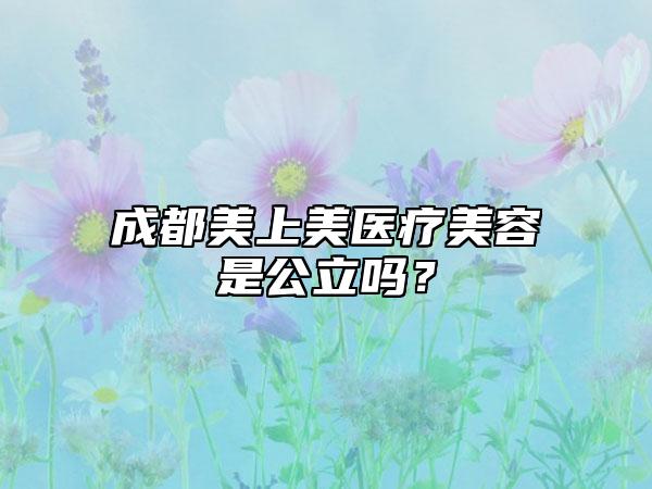 成都美上美医疗美容是公立吗？