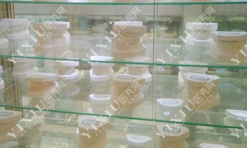 口腔医院牙模实拍图 口腔医院牙模实拍图