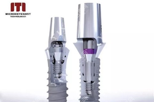 瑞士ITI种植体模型示意图 瑞士ITI种植体模型示意图