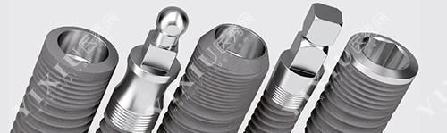 西泰克植体材料图照片 西泰克植体材料图照片