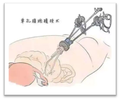 1648110817741.png 1648110817741.png