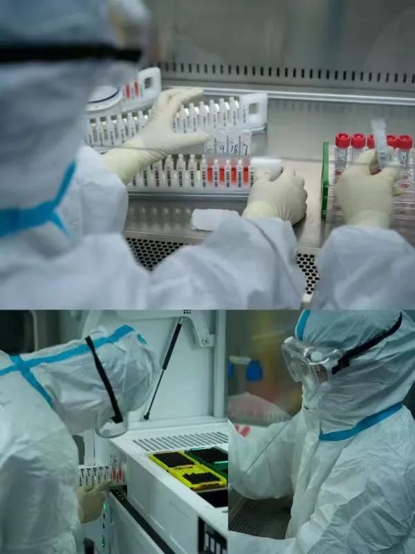 1653462915687.jpg 1653462915687.jpg