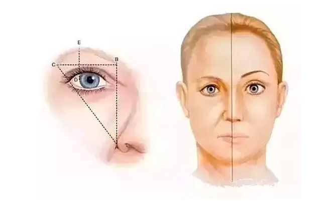 切眉or提眉哪个效果更好?