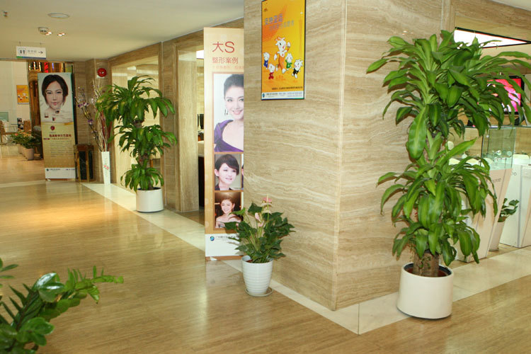 ���ݳ���ҽ������ҽԺ