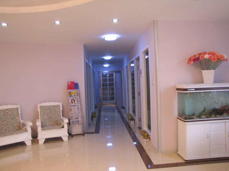 ����Ҷ������������