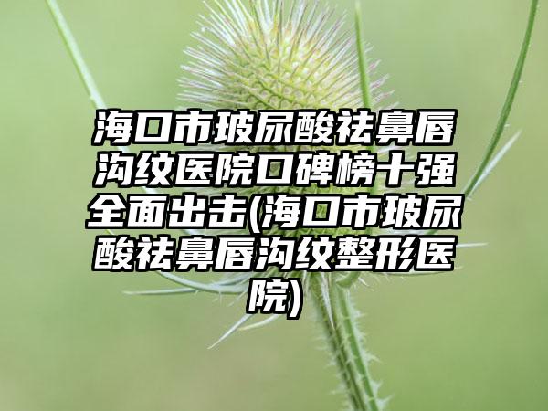 海口市玻尿酸祛鼻唇沟纹医院口碑榜十强全面出击(海口市玻尿酸祛鼻唇沟纹整形医院)